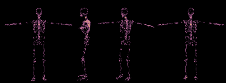 Pamiętnik zza grobu