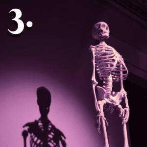 pamiętnik za grobu 3