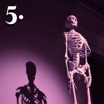 pamiętnik za grobu 5