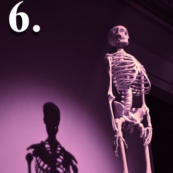 pamiętnik za grobu 6