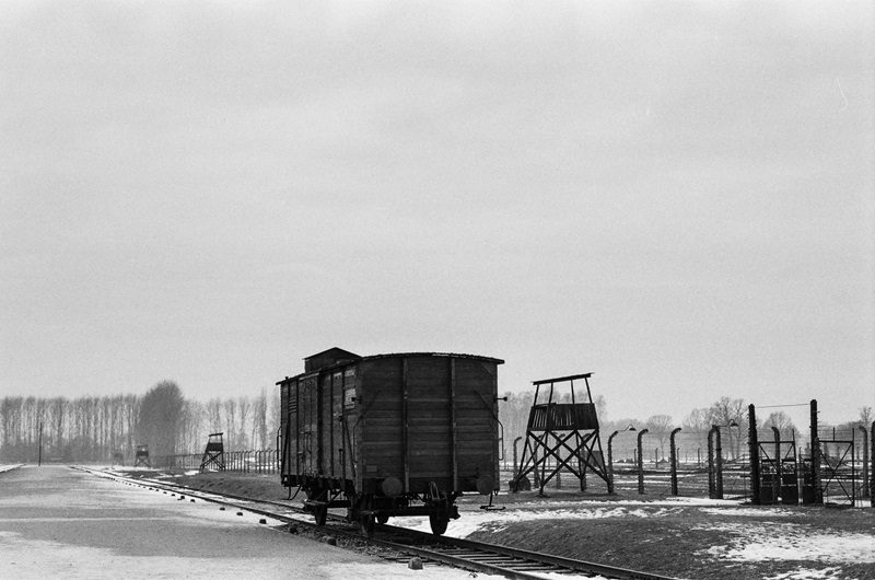 auschwitz