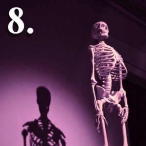 pamiętnik zza grobu 8