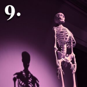 pamietnik zza grobu 9