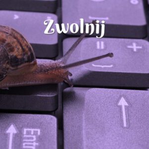 zwolnij