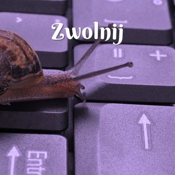 zwolnij