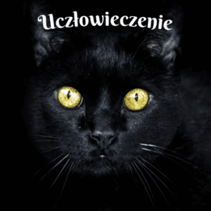 Uczlowieczenie wiersz