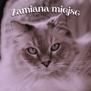 zamiana miejsc wiersz