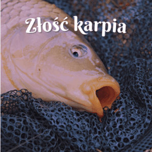 złość karpia