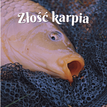 złość karpia