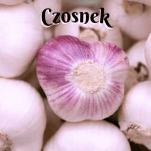 Czosnek wiersz