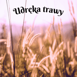 udręka trawy wiersz