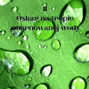 Oskar-na-tropie-zmarnowanej-wody