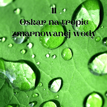 Oskar-na-tropie-zmarnowanej-wody