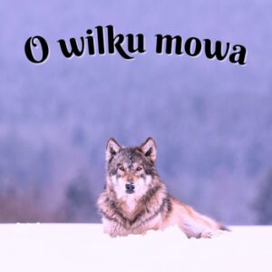 o wilku mowa opowiadanie