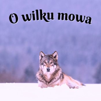 o wilku mowa opowiadanie