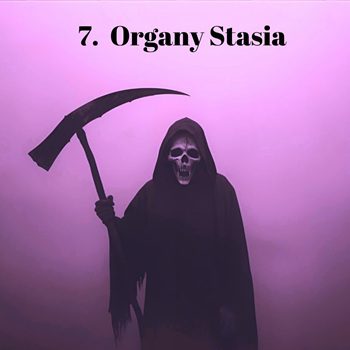 Organy Stasia wiersz