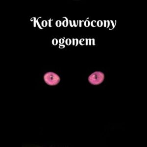 Kot odwrócony ogonem opowiadanie
