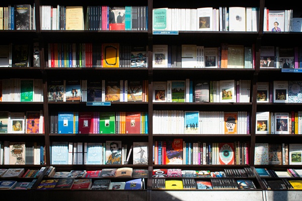 kanon literatury polskiej